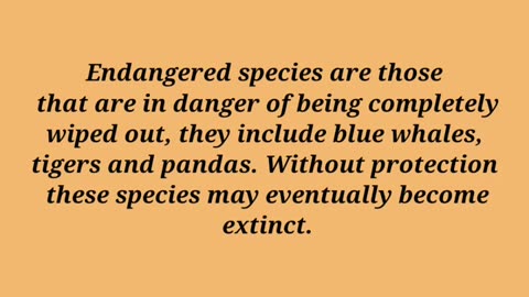 Animal Facts