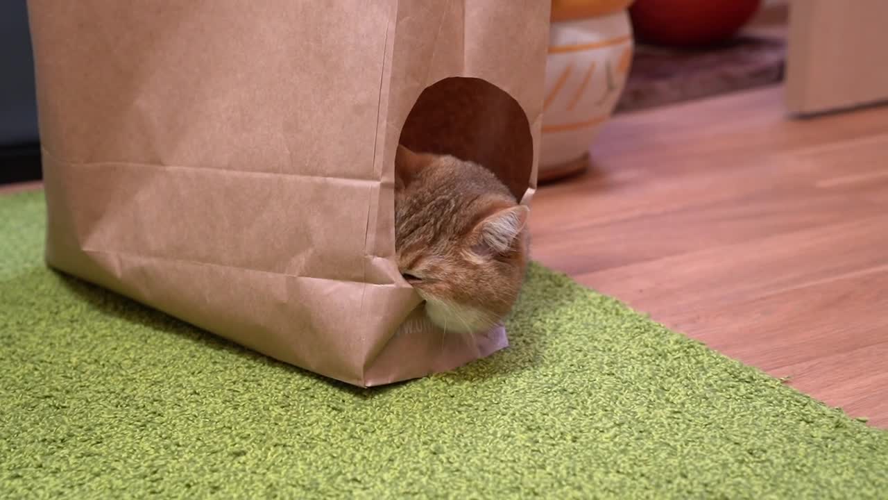 Paper bag