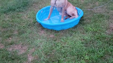 Am I too big for this pool