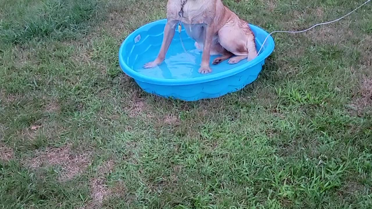 Am I too big for this pool