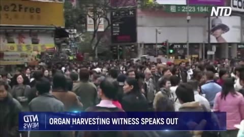 Organ harvesting witness speaks out