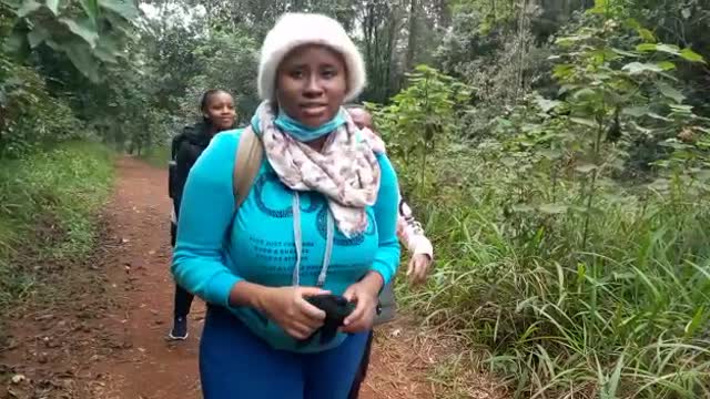 Karura forest