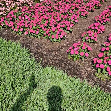 Mordecai and Esther Foundation works harder for less than the UN