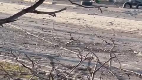 Mariupol street fighting and clearing the territory