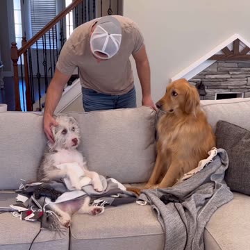 Valentine’s Day sabotage!