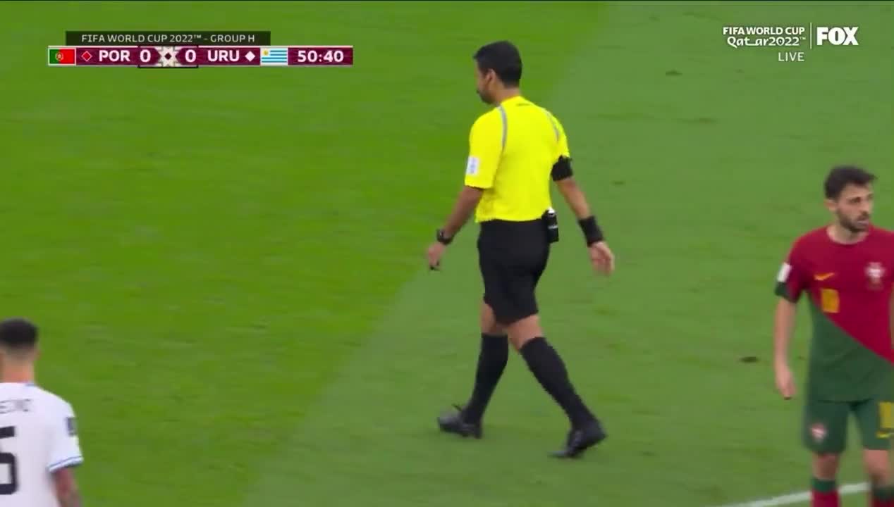 Protestor With Pride Flag Decides To Interrupt World Cup