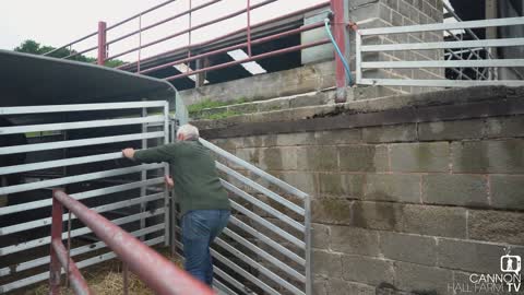 Jeremy's Great Escape - Cannon Hall Farm