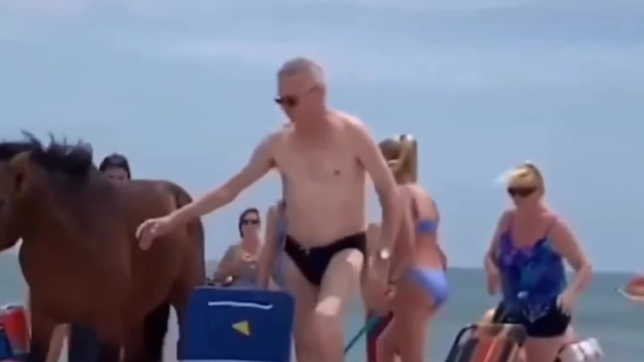 Do not pet the animals