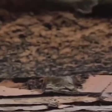 Powerful explosion hits Ukrainian base in Avdiivka