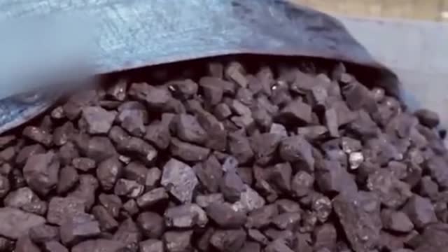 Polish people queue for days to buy coal