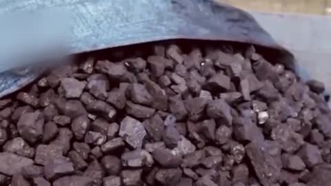 Polish people queue for days to buy coal