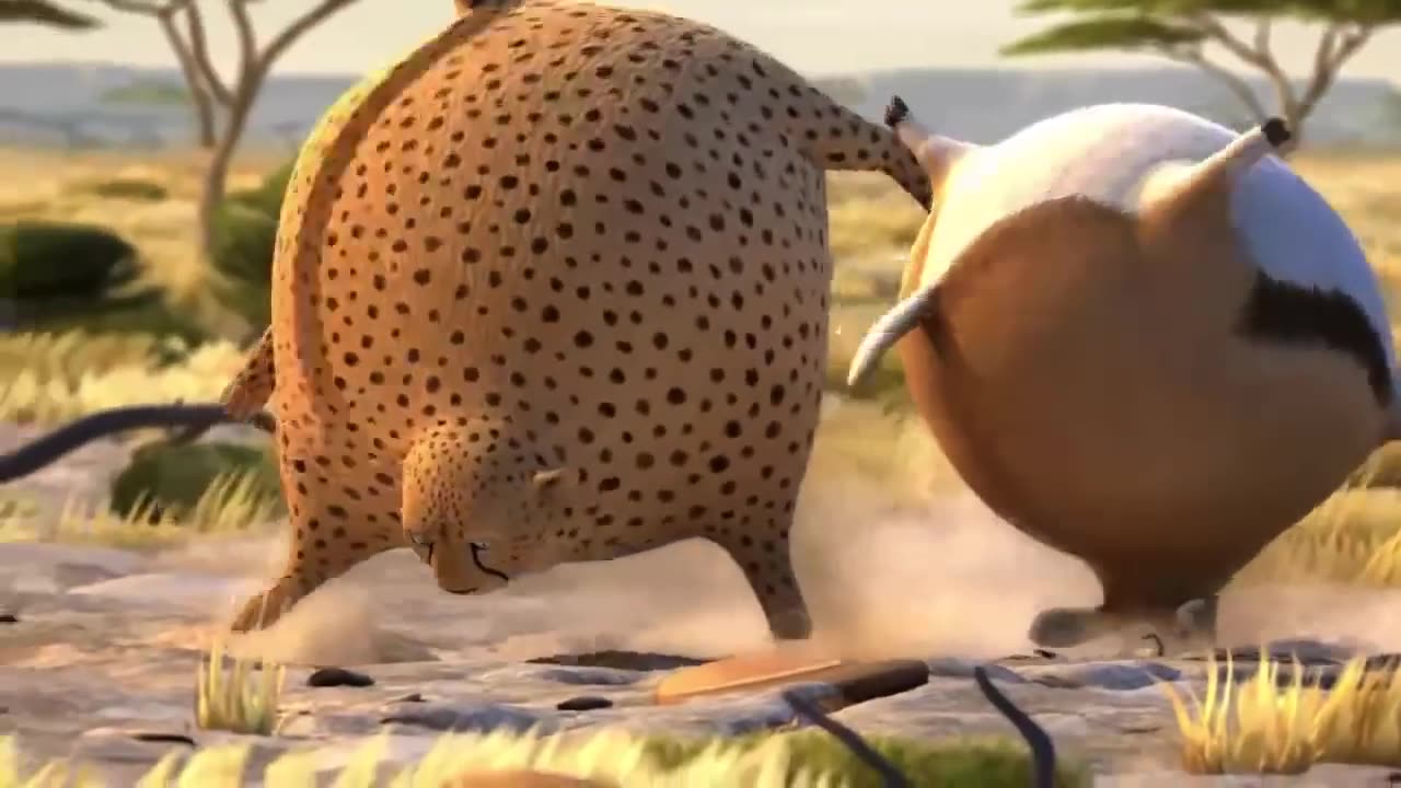 IF ANIMAL SUFFER FROM OBESITY😂😂😂