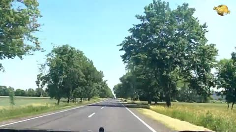 Kujawskie drewniane kościoły i starożytne megality