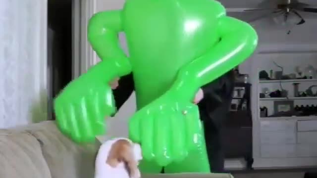 An inflatable green alien toy for dogs