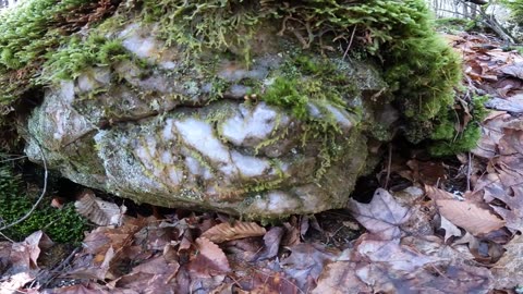 Quartz Rock