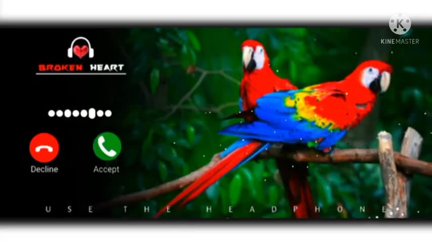 Mobile ringtone basuri tone