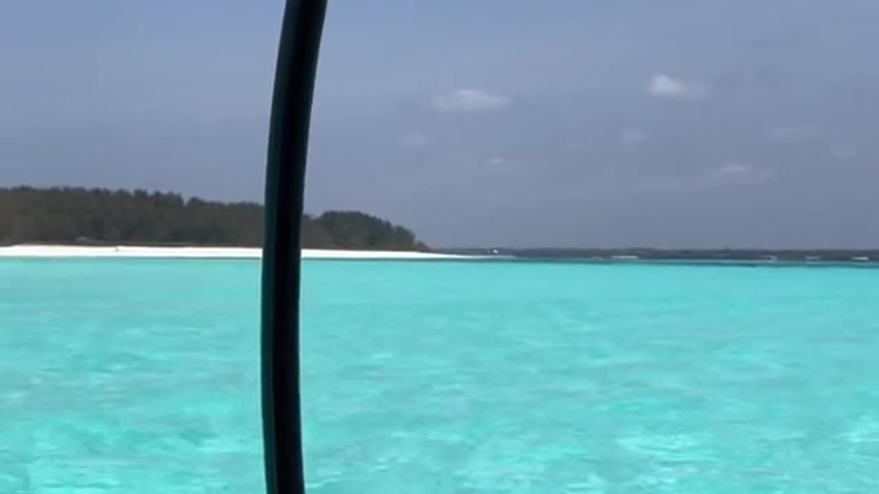 UNDER WATER ZANZIBAR