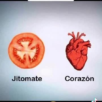 vegetales y cuerpo humano similaridades, universo inteligente consciente