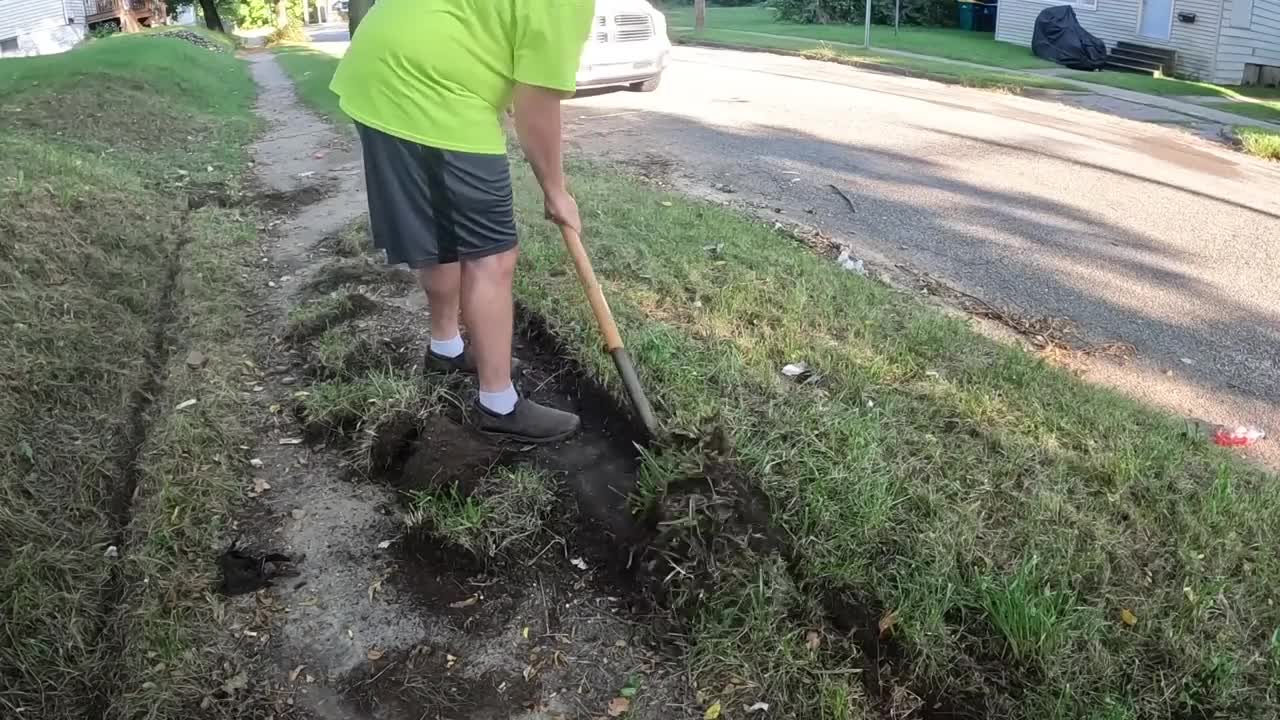 Cleaning the lawn seems to be a difficult task.