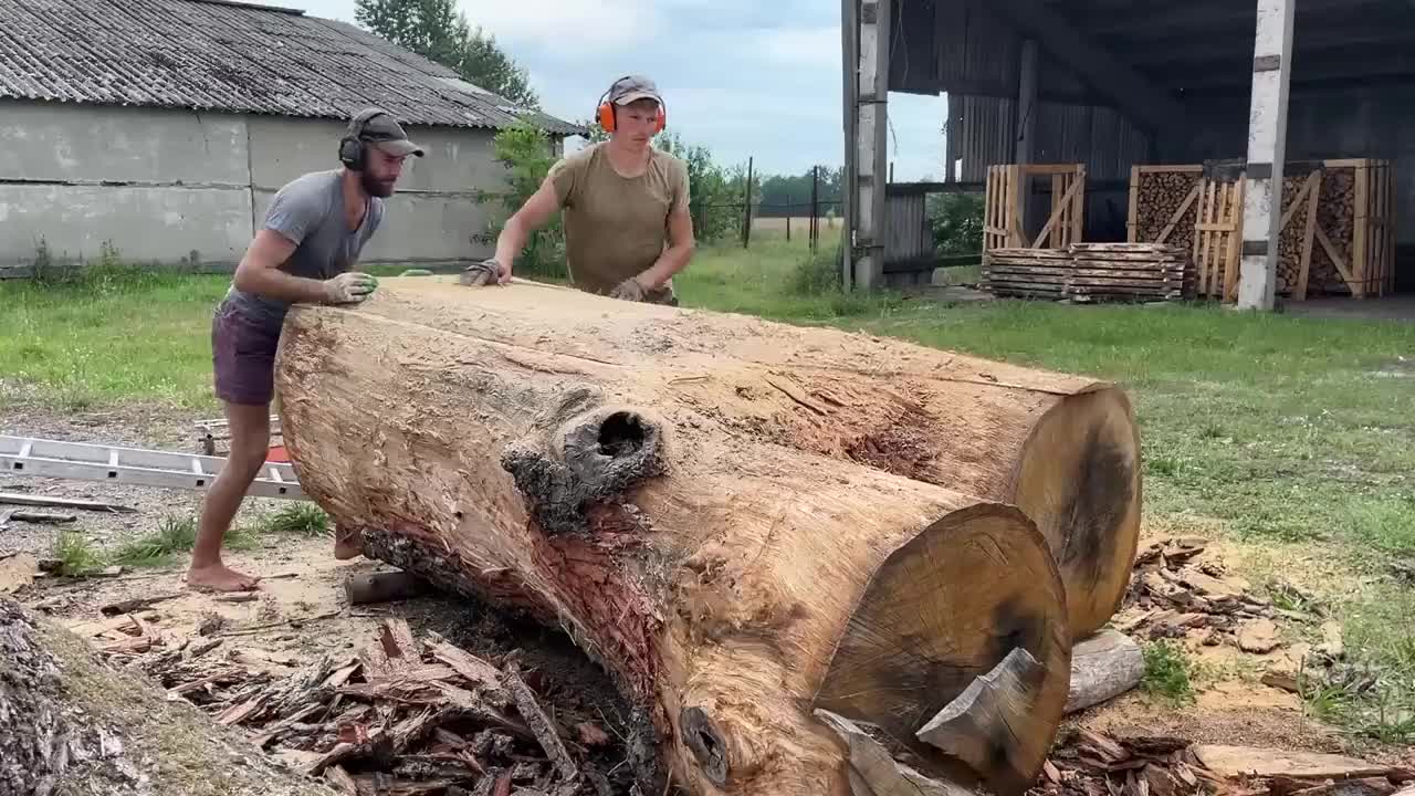 The astonishing discovery of an oak tree
