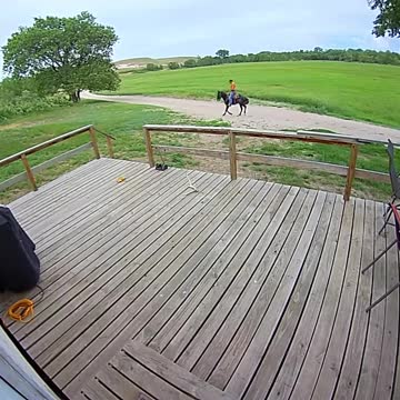 Jordan Budd on breaking horses