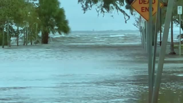 Jacksonville becomes the ocean today! Hurricane Nicole and floods in Jacksonville