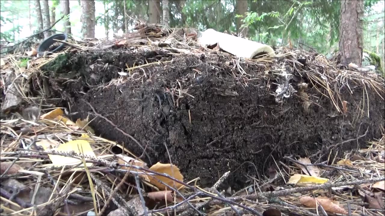 Urbaaneja metsälöytöjä päivän retkeltä UE-18