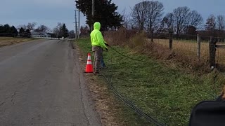 Cow "Flirts" with Lineman