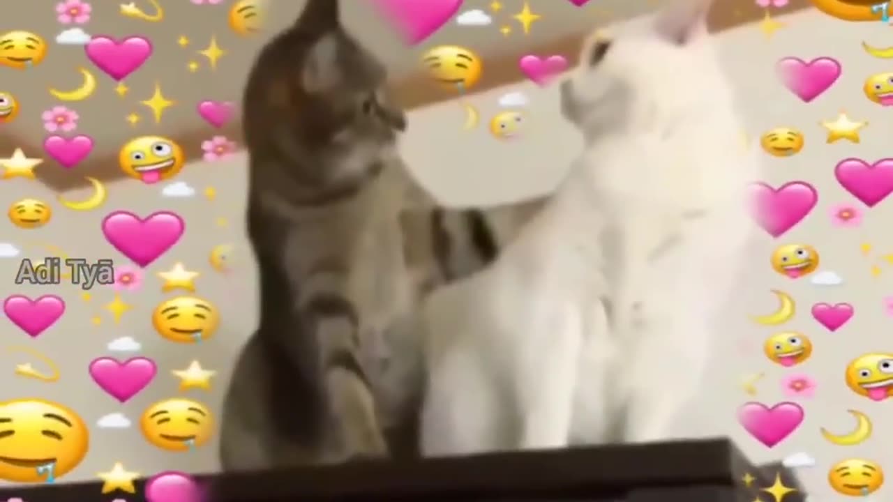 Arrange Marriage Scenes