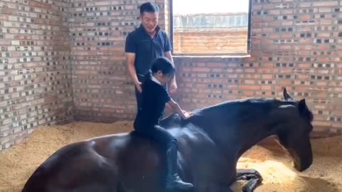 Dad teaches daughter to wake up horse