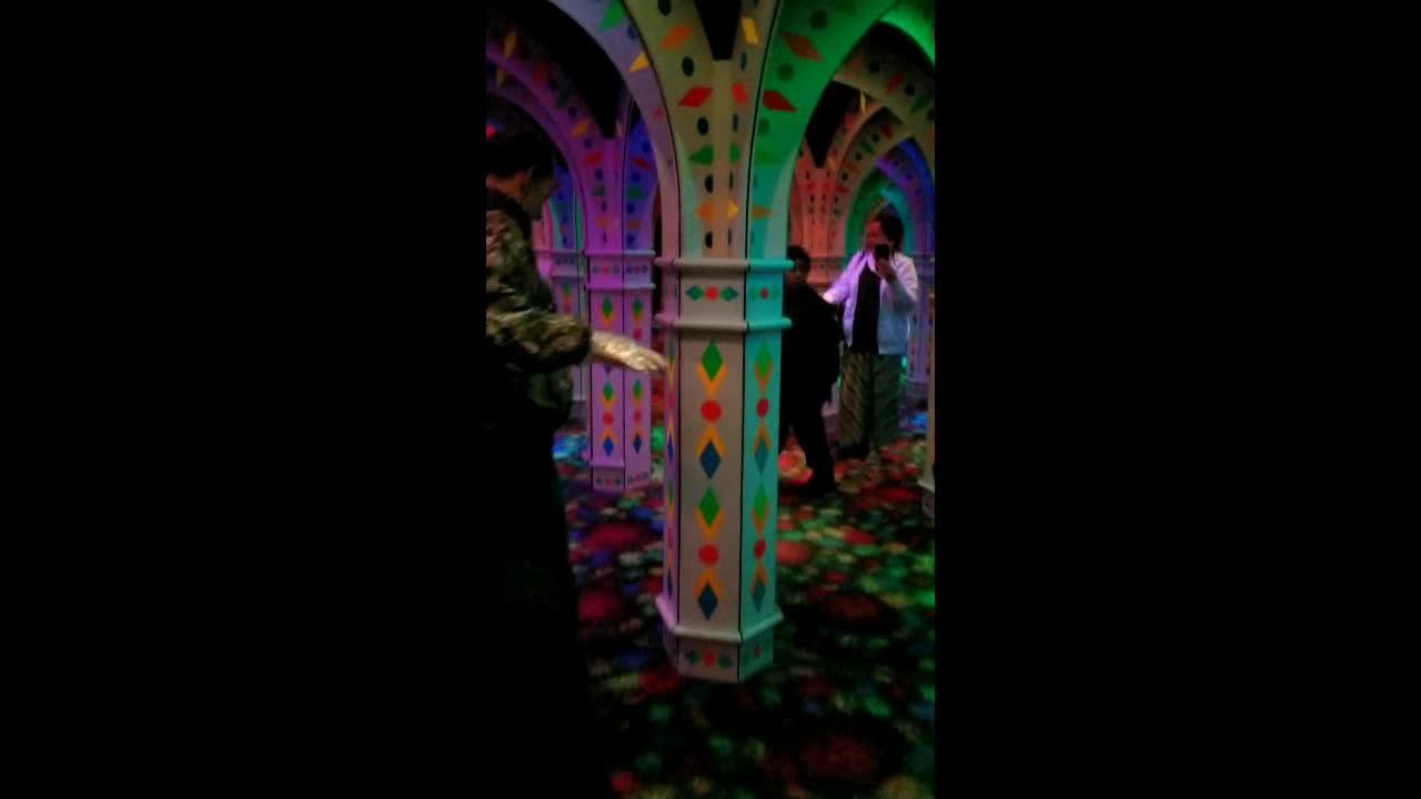 Mirror Maze or Terror Maze
