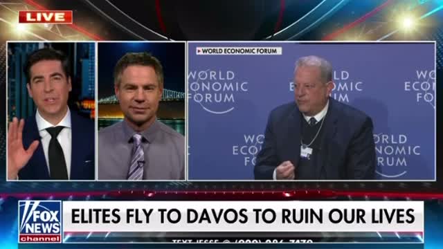 Michael Shellenberger: Elites fly to Davos to ruin our lives