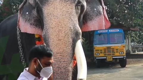 പാപ്പാൻമാരെ ഹിന്ദി പഠിപ്പിച്ച ഗുരുവായൂർ ഇന്ദ്രസെൻ