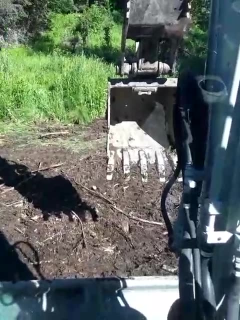 Bring Sexy Back🤣🇺🇸