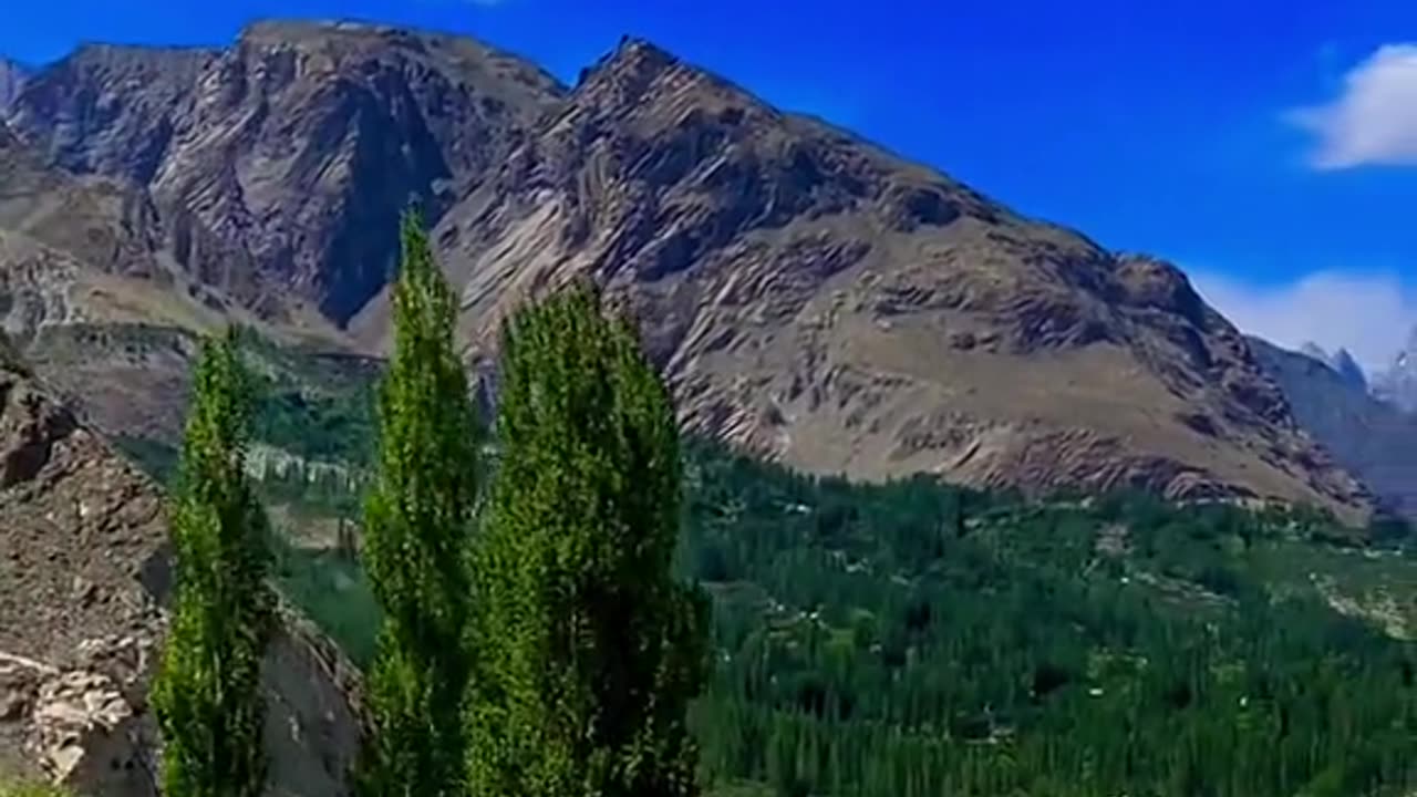 NALTAR MEDOWS GILGIT 💕💕#the_northern_vibes #foryou #gilgit #naltar