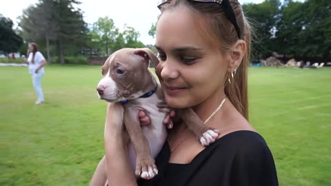 OH MY GOD LOOK AT THE PUPPY
