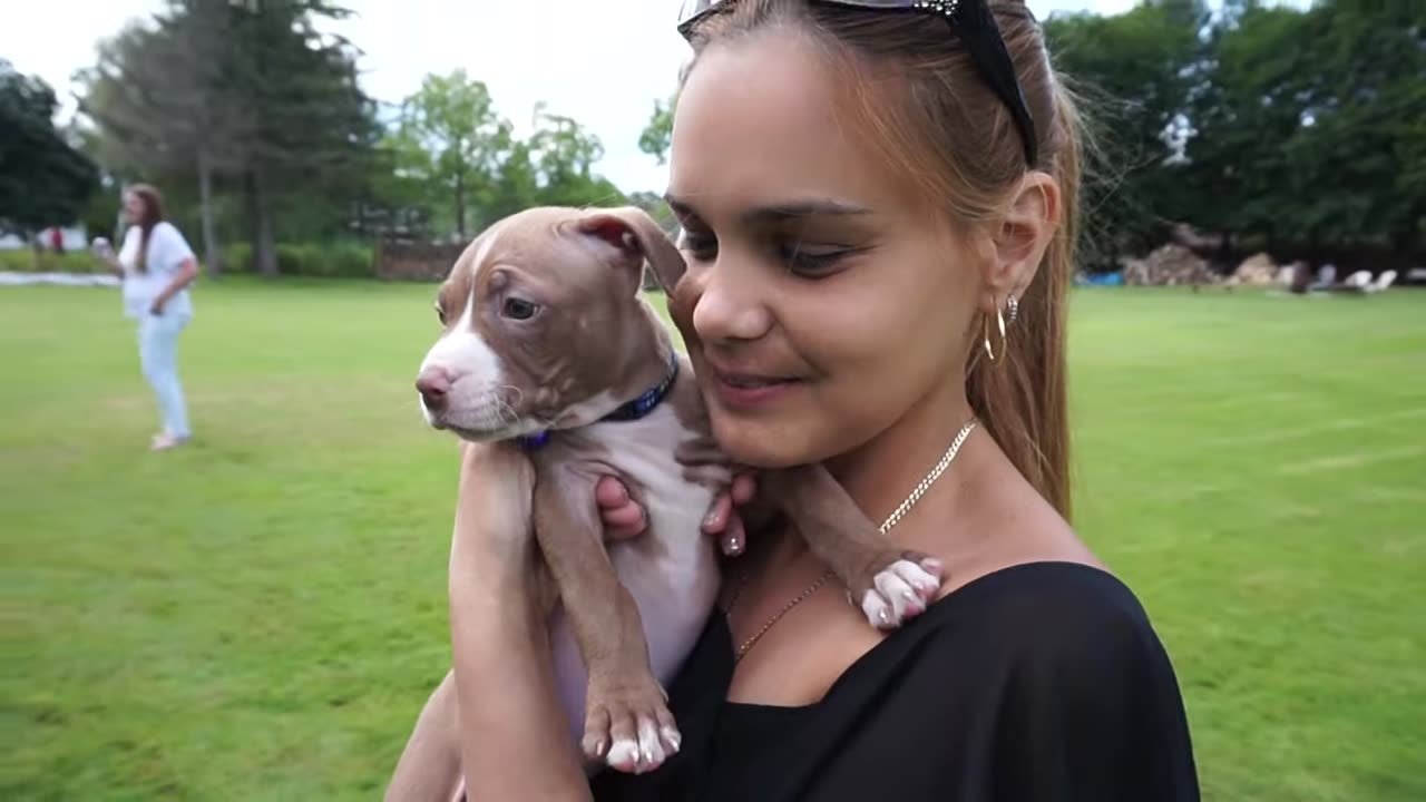 OH MY GOD LOOK AT THE PUPPY