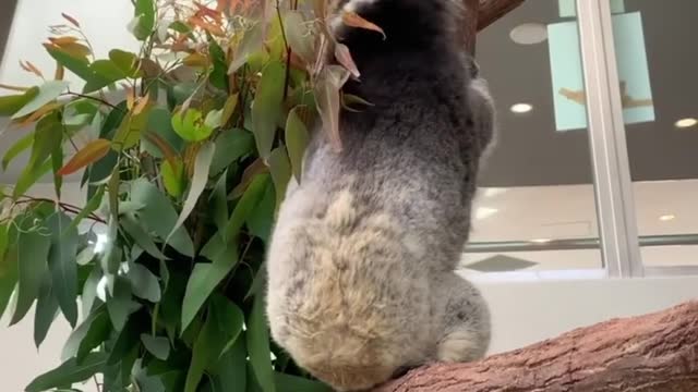Super Smart Ways to Save Money on Animal Observation