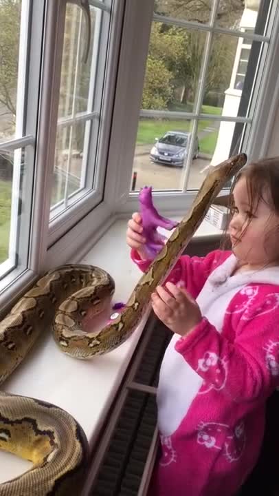 Niña de 3 años abraza a una pitón de 8 pies de largo
