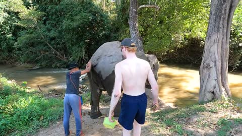 Chiang Mai Elephant Home _ Chiang Ma
