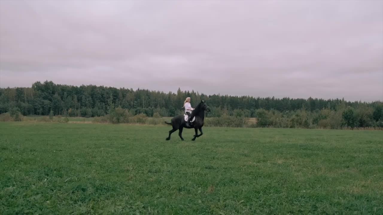 The most cinematic horse video you'll see today _ FUJIFILM X-T3 _ Cinematic Video