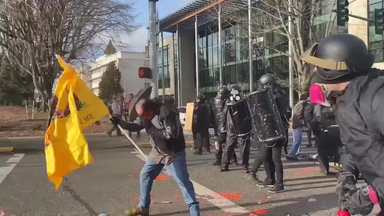 Nazis vs peaceful protesters