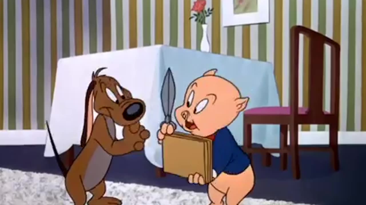 Looney tunes in hindi episode 9