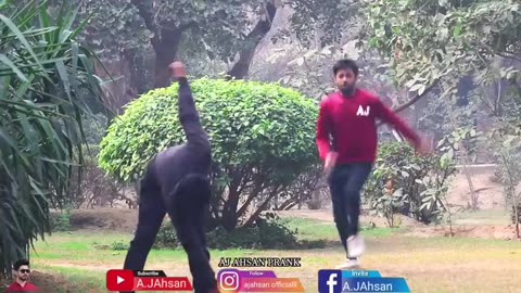 Funny prank video