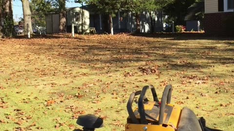 More leaf clean ups.