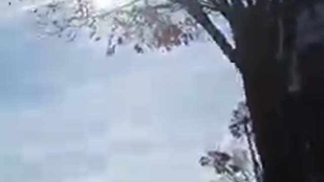 Some Thanksgiving chemtrails