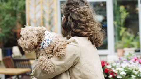 A dog in the bosom of a human being