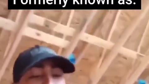 The peaceful migrants.