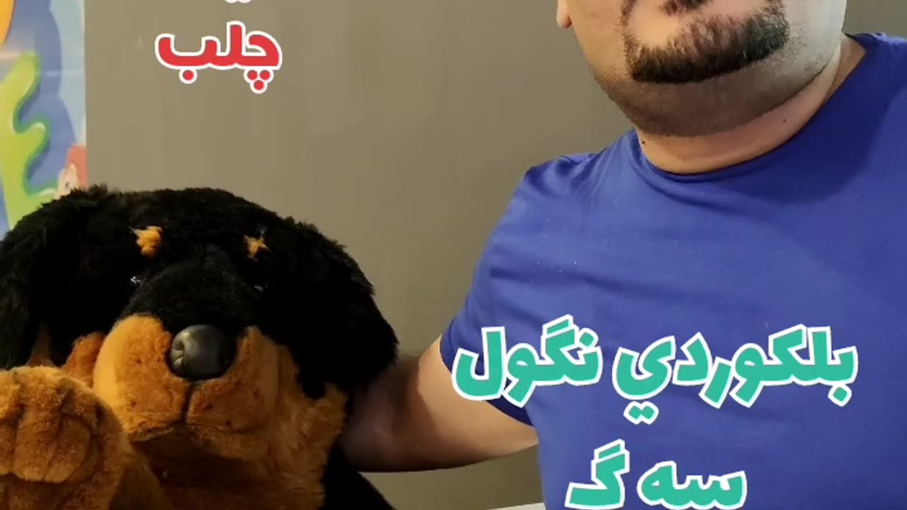 How to say "dog "🐶 in Kurdish Turkmen