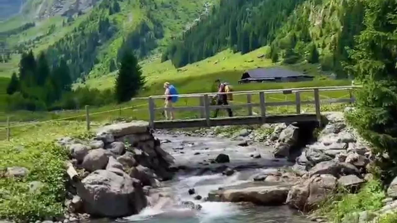 Nature beauty